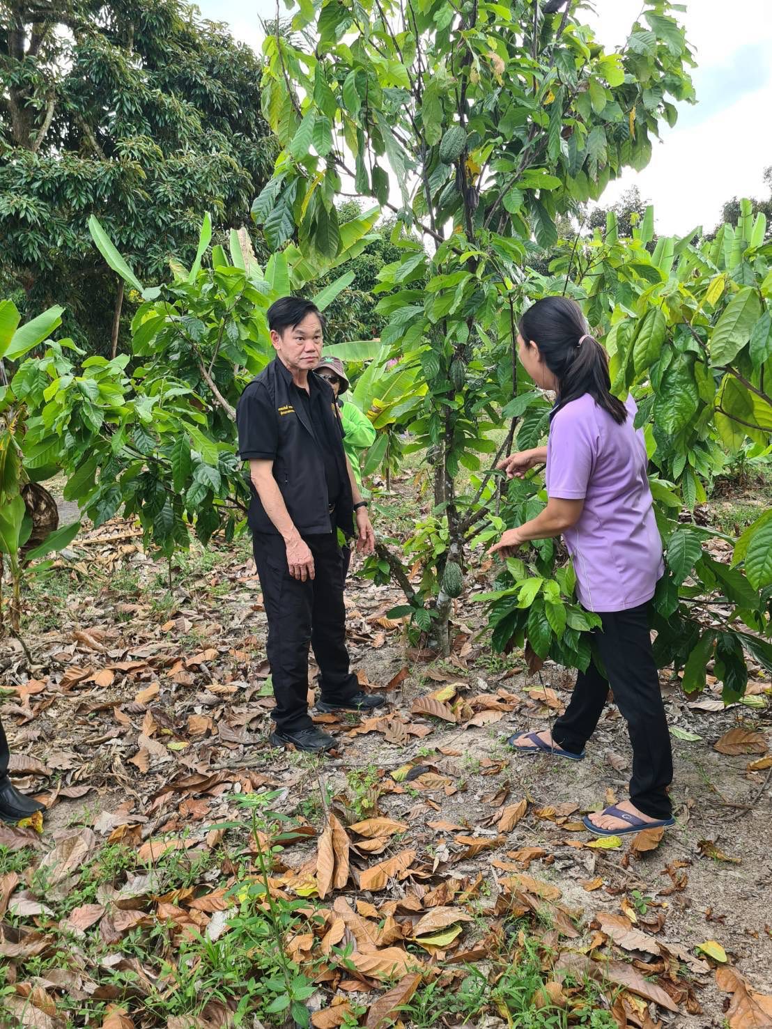 title - ผู้ตรวจราชการกรม ประชุมติดตามผลการดำเนินงานตามแผนการตรวจราชการของ ส.ป.ก. ประจำปีงบประมาณ พ.ศ. 2569 รอบที่ 1 จังหวัดประจวบคีรีขันธ์